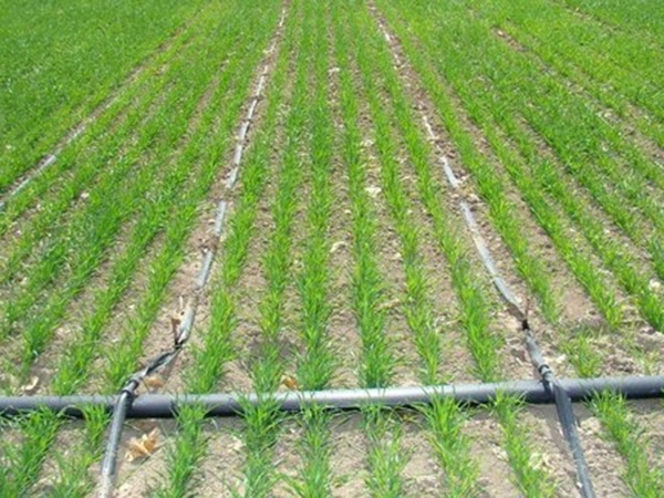 PE Farmland Irrigation Pipe